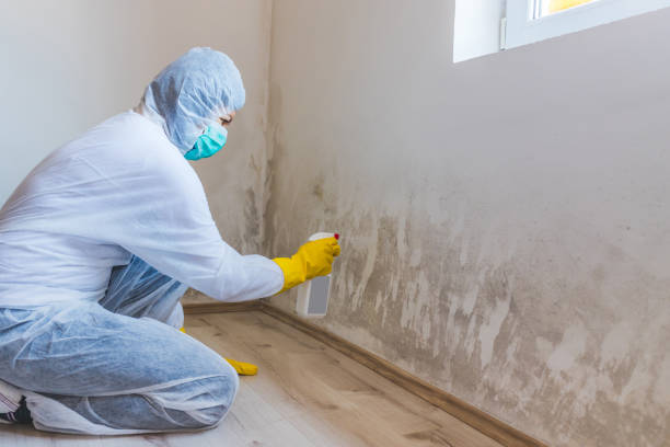 Crawl Space Mold Remediation treatment of floor joists in Pompton Plains